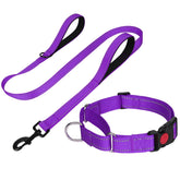 FunTags reflective martingale collar in purple with a close-up showing secure fit for training