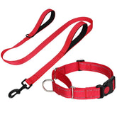 FunTags reflective martingale collar red front view highlights escape-prevention and night visibility.