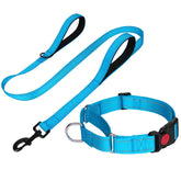 FunTags reflective martingale collar sky blue with reflective stitching for night safety.