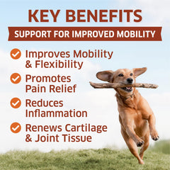 Fur Belly dog joint pain relief soft chews for mobility