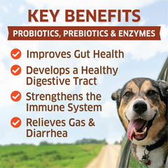 Fur Belly Probiotics bottle on shelf shows USA-made quality for gut health.