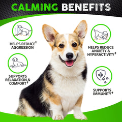 FURALAND calming chews close-up showing calm texture