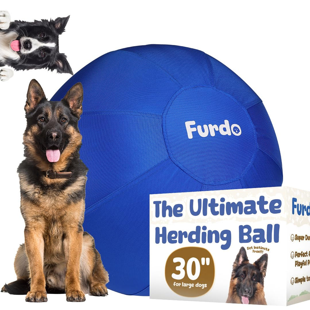 Furdo 30-inch herding ball in playside view for active chasing sessions