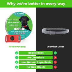 FurLife fragrance-free dog tag demonstrates natural option without artificial scents