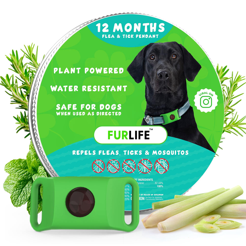 FurLife green dog tag closeup highlights lightweight, durable daily wear.
