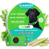 FurLife green dog tag closeup highlights lightweight, durable daily wear.