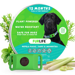 FurLife green dog tag closeup highlights lightweight, durable daily wear.