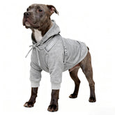 Furmate built-in harness closeup showing secure, evenly distributed pressure.