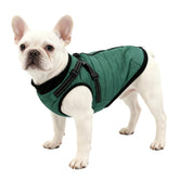 Furmate dog winter coat green front view with built-in harness for secure walks