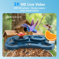FUROBAG 2.4GHz WiFi enabled feeder streams outdoors for steady viewing