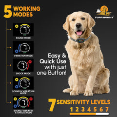 FURR BUNNY training modes showing beep, vibration, and shock options for tailored corrections.