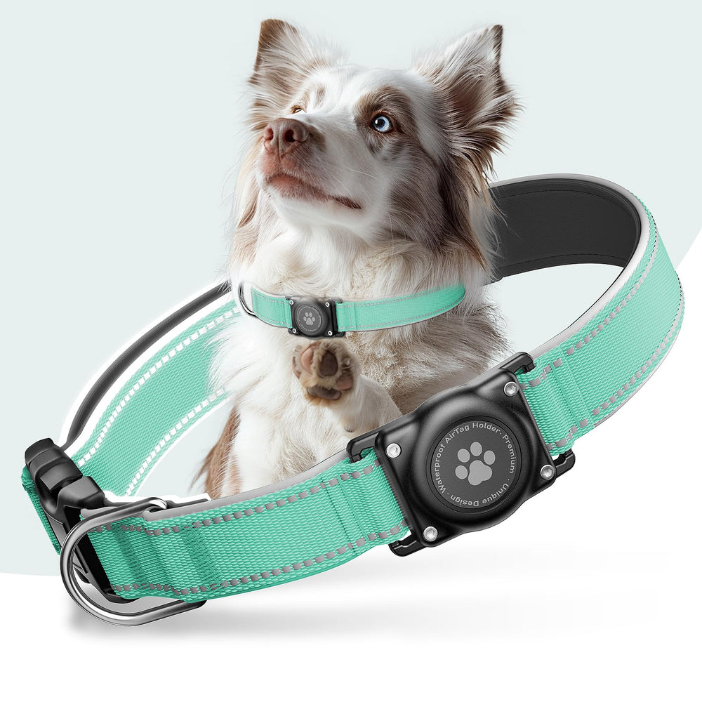 Furrigo Airtag Dog Collar teal close-up shows secure holder for reliable tracking