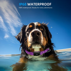 Furrigo AirTag Collar Waterproof Seal demonstrates IP68 protection for outdoor adventures.
