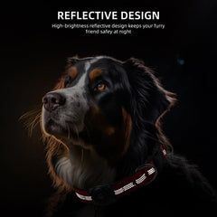 Furrigo Upgraded AirTag Dog Collar padding provides comfortable daily wear.