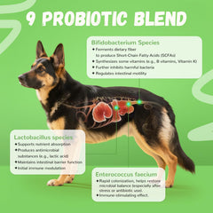 Furrolika Probiotics for Dogs beef-flavor taste appealing to picky eaters.