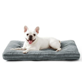 FURTIME dog bed front view shows inviting shape for cozy naps