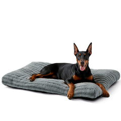 FURTIME washable XXL dog bed front view ample space for large dogs