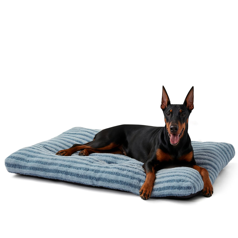 FURTIME Washable XXL Dog Bed top view showcases plush cloud-soft comfort for large dogs.