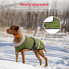 FURTIME waterproof outer layer keeps dogs dry in light rain.