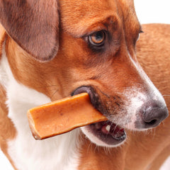 Fuzzl Yak Chews peanut-butter-pack-4 closeup emphasizing creamy taste and lasting chew.