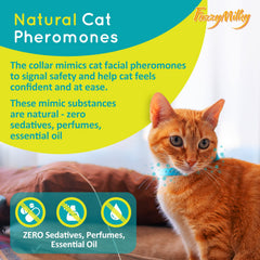 FuzzyMilky calming collar blue closeup highlights pheromone-infused design for a calmer, confident cat