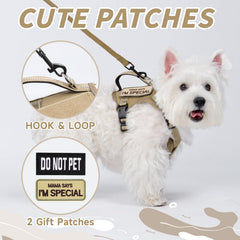 FXGOING small dog harness with vertical handle for quick lifting and control during outings.