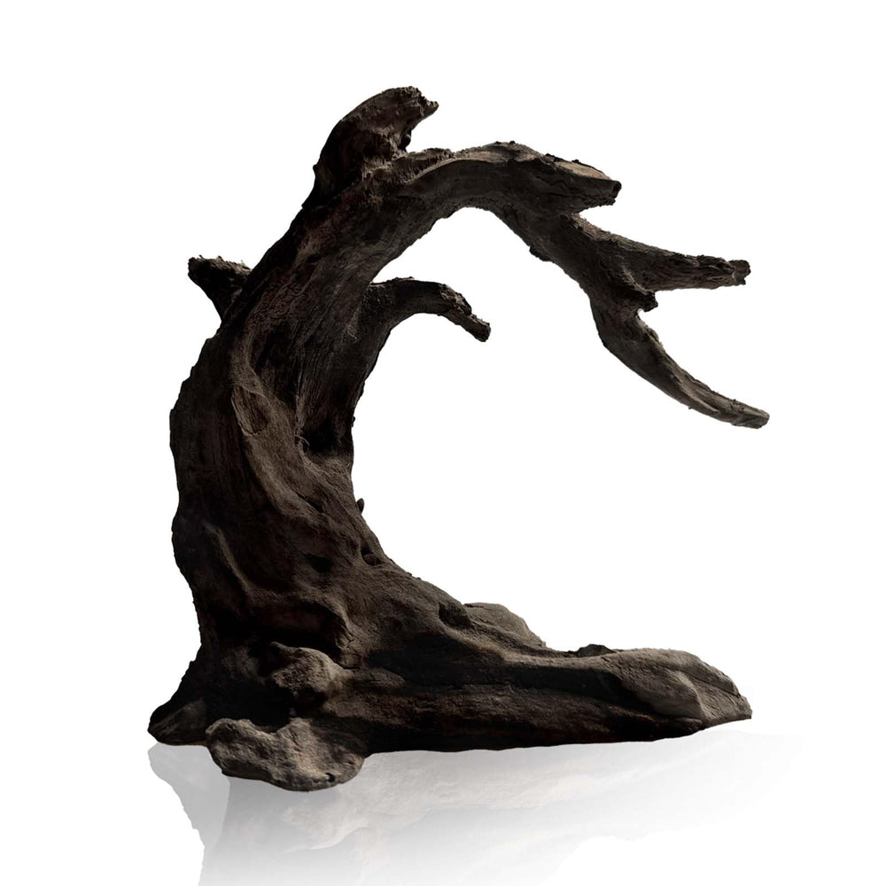 FZONE driftwood aquarium setup with natural hardscape enhances aquascape aesthetics.