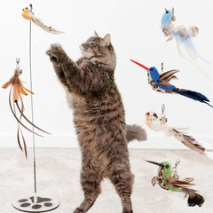 GADGETSOLOGY feather toy showcases soft feathers for engaging play.