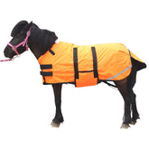 Gallopoff foal blanket waterproof outer shell keeps foal dry in wet turnout