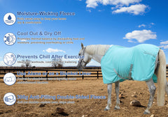 Gallopoff horse fleece cooler on horse demonstrates moisture-wicking post-exercise drying