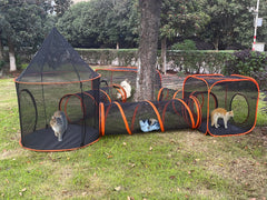 Gaorui hexagon tent for versatile configuration in pet spaces.