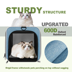 GAPZER Cat Carrier seatbelt compatibility for secure car rides