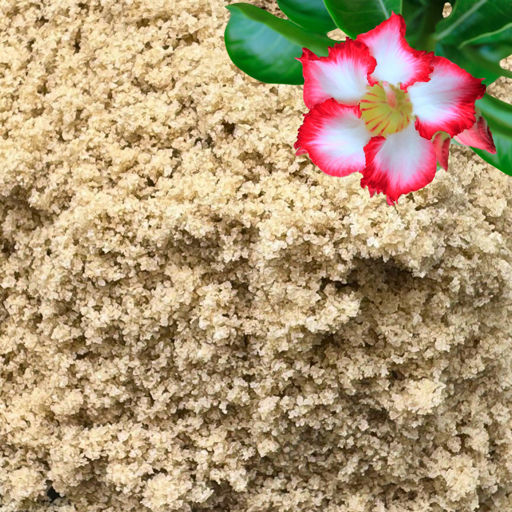 GARDENWISE fine sand in potting mix enhances drainage and aeration for indoor plants.