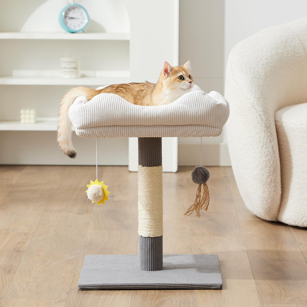 Gardner Pet 20-inch corduroy cat tree top bed for cozy lounging.
