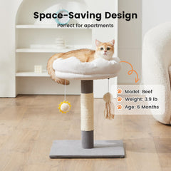 Gardner Pet hanging toys keep cats engaged and active.