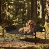 Gardner Pet elevated dog bed with 3-sided guardrail provides security and neck support during rest