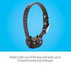 Garmin BarkLimiter Deluxe auto rise feature illustrates adaptive correction tailored to barking behavior.