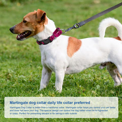 GDLKPS Reflective Martingale Collar quick-release buckle enables easy emergency release.