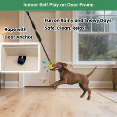 GDuolaPaws cotton rope texture engages chewing and may help clean teeth surfaces.