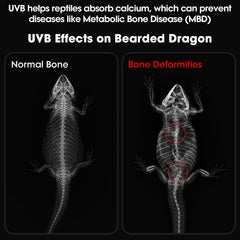 GeeKoit UVB light timer display for reliable day-night cycles.