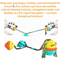 Generic dog toy dual-ball design textured and spiky for engaging chomps