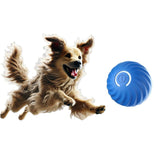 Generic Interactive Dog Ball blue front view showing engaging rolling action for small and medium dogs.