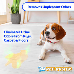 Generic Pee Buster spray application on carpet for stain lift