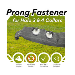 Generic prong fastener easy prong switching lets you swap prongs for different dogs without adhesive