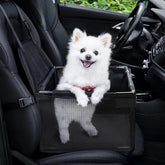GENORTH small dog car seat front view—secure booster keeps pets up to 11 lbs snugly