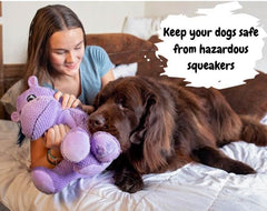 Gentle Giants plush hippo toy crinkly paws provides safe interactive play without squeaks for enrichment.