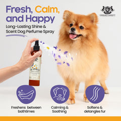 Perfume Gerrard Larriett para perros: aplicación lavanda, spray calmante