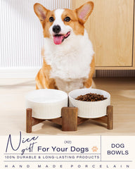 Getstar set of 2 bowls ideal for pets needing separate portions.