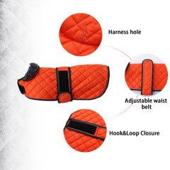 Geyecete dachshund coat adjustable bands secure fit during walks.