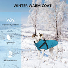 Geyecete harness traction belt feature in action during a snowy outdoor walk